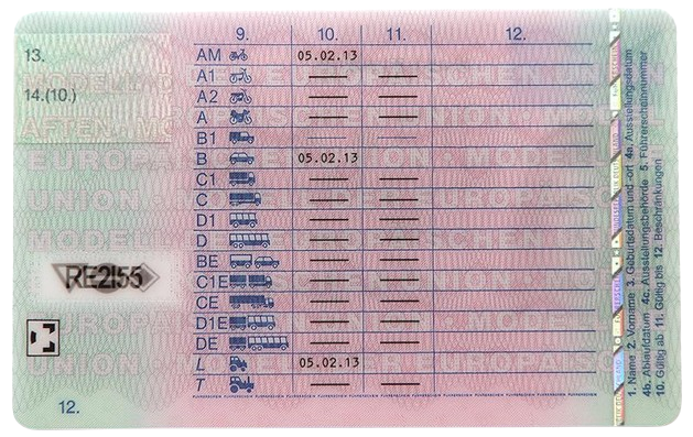 b196 führerschein kosten